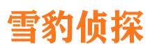 南岸侦探公司